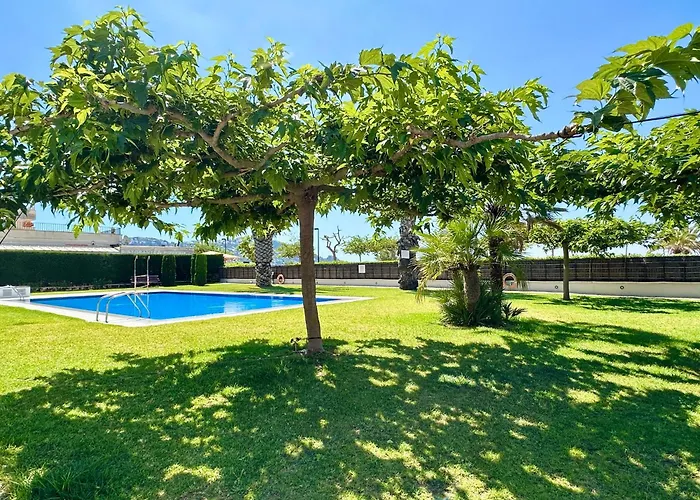 V015 - Marina Park